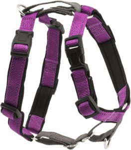 best dog harness for border collie